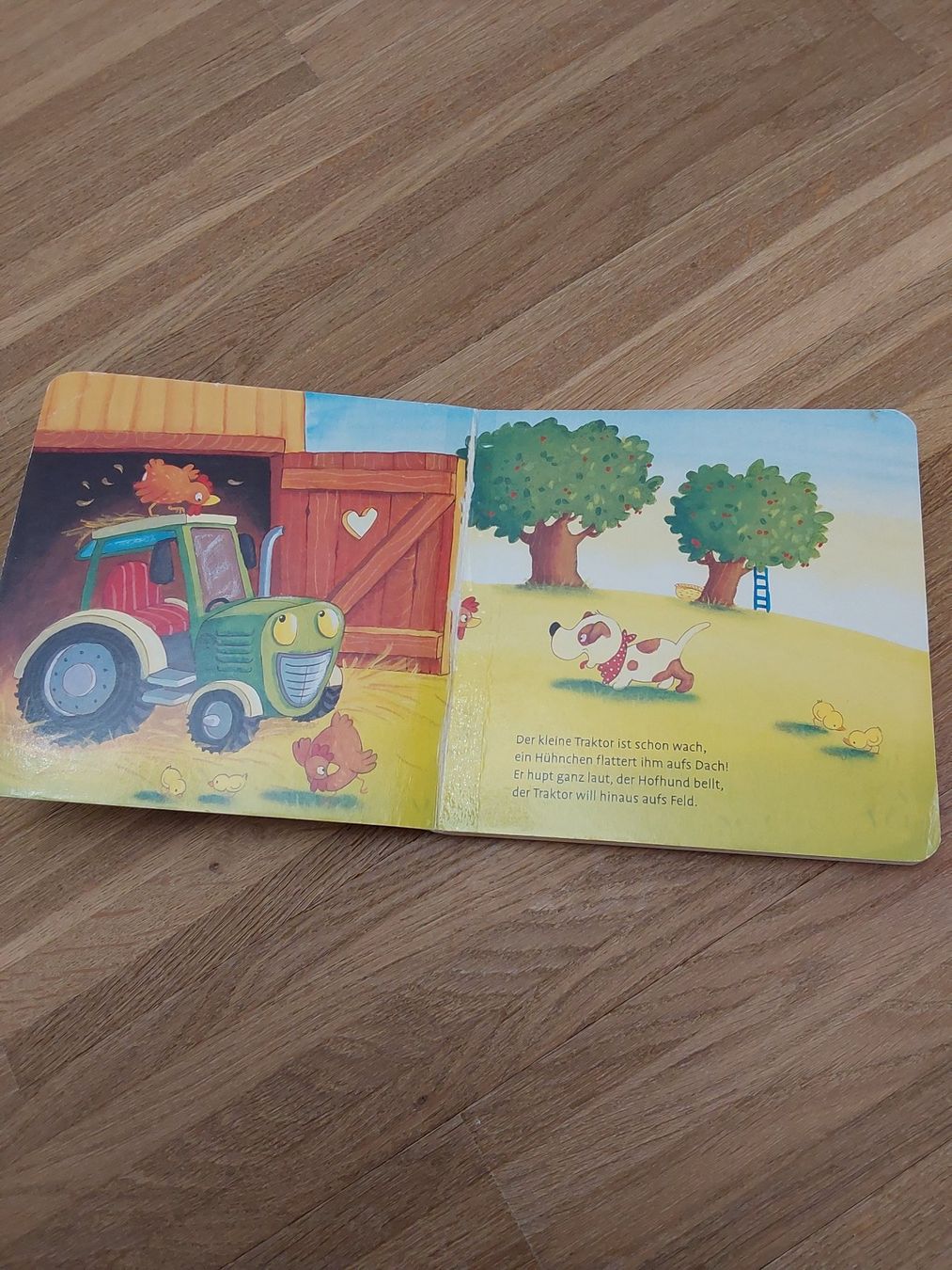 Bücher: Kinder Bücher – Gebraucht aus Wallisellen von Wallisellen77 8