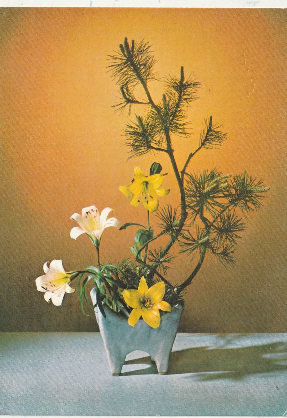 Cartes postales: Blumenkarte – D'occasion à Lumbrein par made02