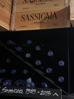 Sassicaia 2013 – Bolgheri DOC – Magnum (1,5 L)