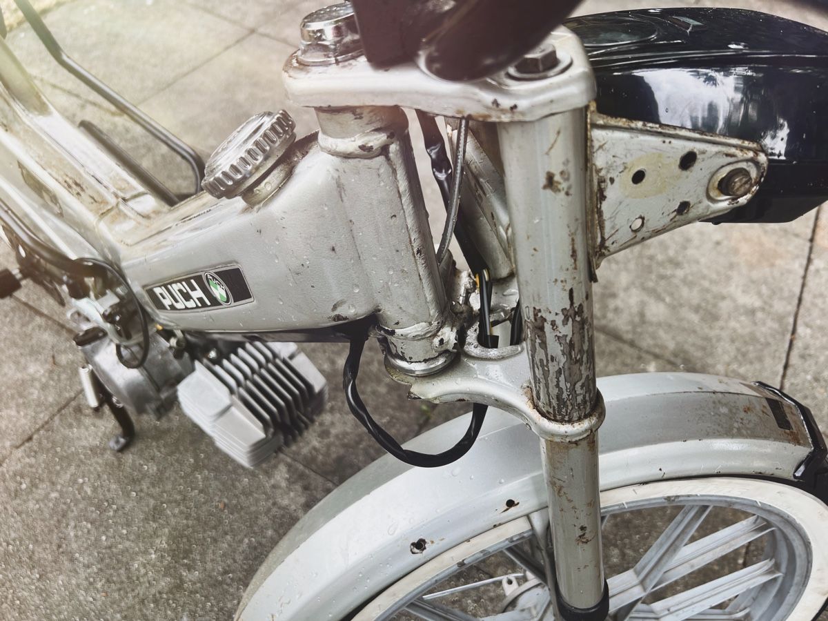 Puch Mofas: Puch Maxi S – Gebraucht aus Stadel von lev_k9j8 3