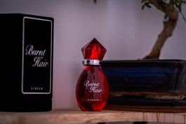 Burnt Hair, Boring Company (decant/ Abfüllung 1, 2, 5ml)