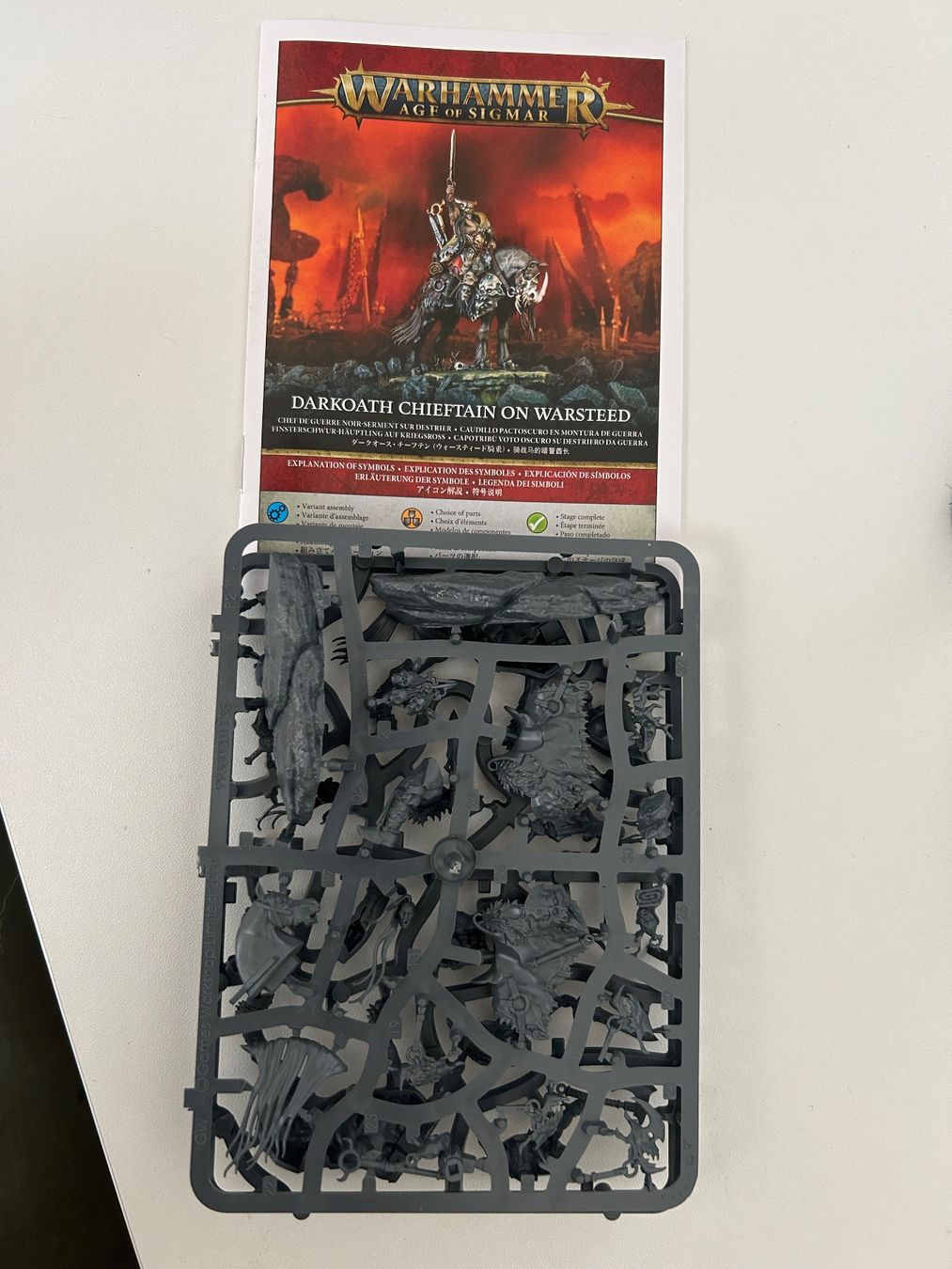 Kit di modellismo & Modellini statici: Warhammer AOS Darkoath Chieftain – Usato da Le Brassus venduto da Hollywood_gni