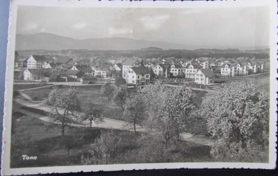 Cartoline postali: Dürnten ZH Tann Ortsansicht , 1920 – Usato da Solothurn venduto da Bepposol