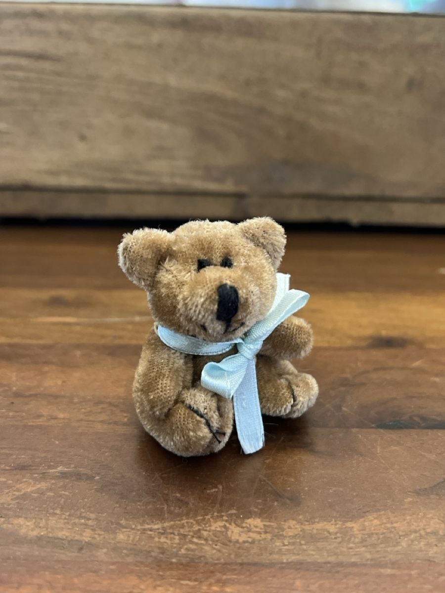 Jouets: Mini Teddybär – Neuf (Voir description) à Altdorf UR par JanAil
