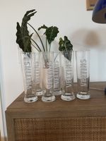 6 Biergläser 