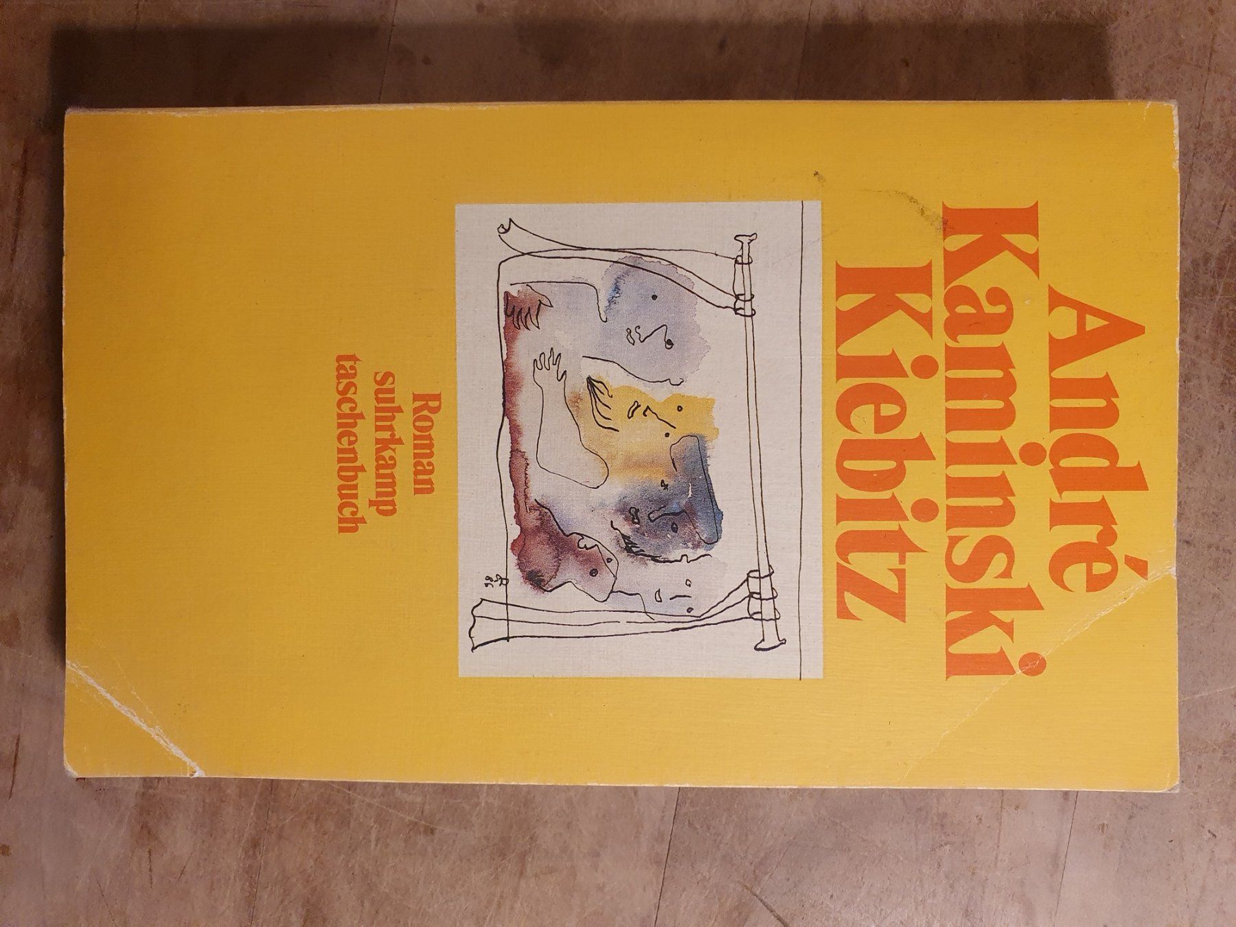 Libri: Kiebitz André Kaminski Suhrkamp – Usato da Zürich venduto da loosebone
