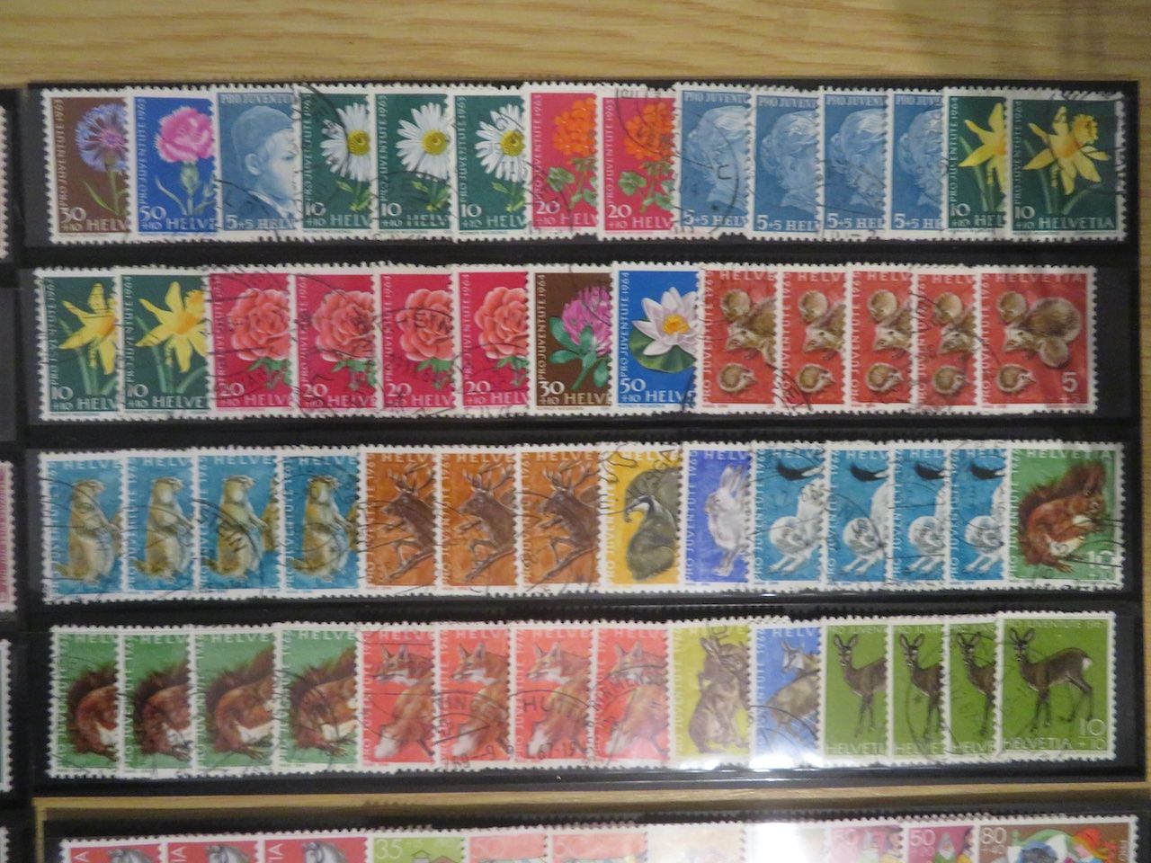 Alle Briefmarken: Pro Juventute grosser Posten auf 4 Doppelsteckkarten – Gebraucht aus Spreitenbach von heitersberg54 7