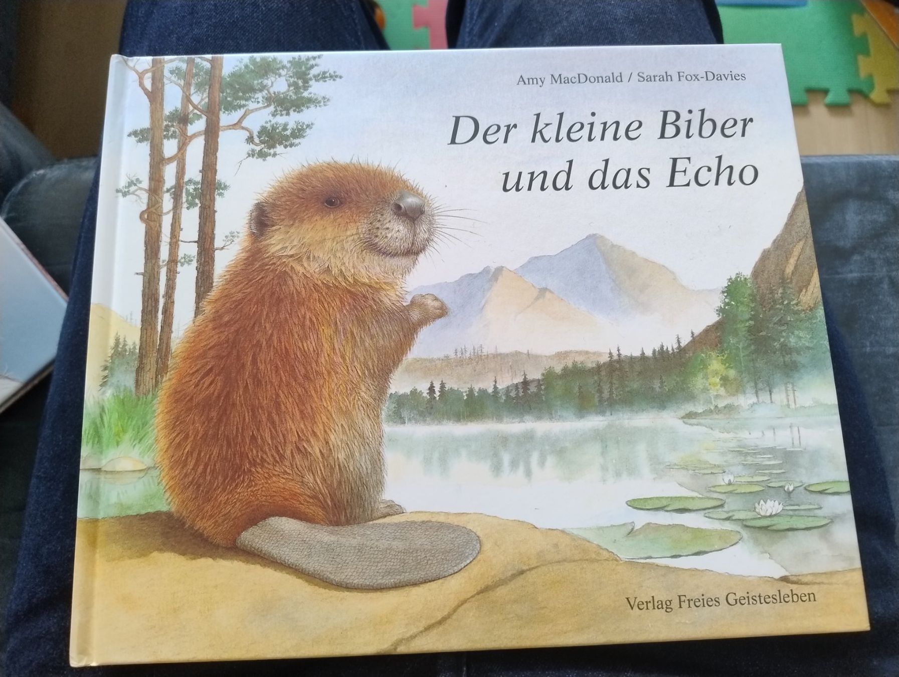 Bücher: Der kleine Biber und das Echo – Gebraucht aus Bätterkinden von livingdreams