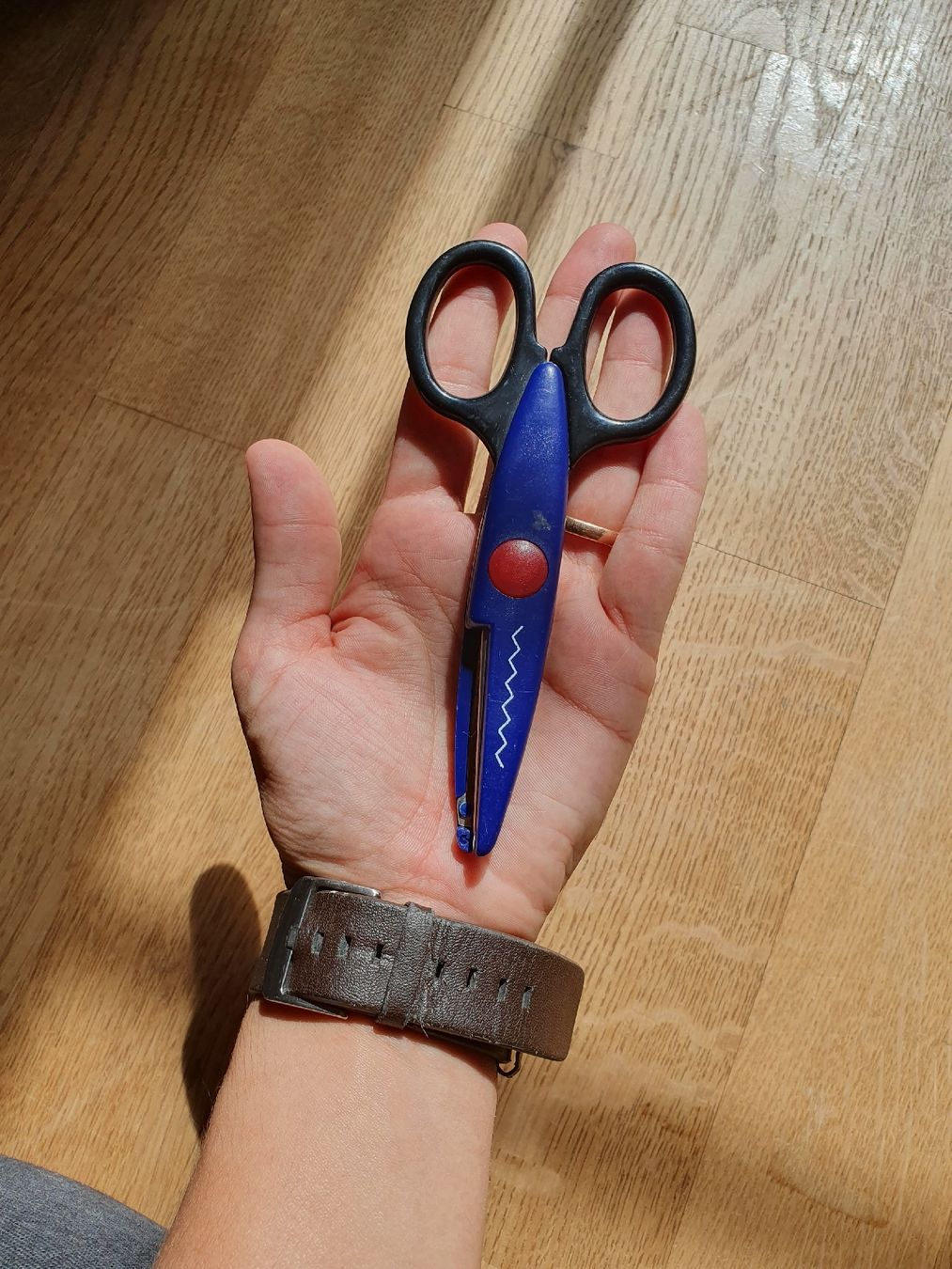 Alle Werkzeuge: Kids Decorative Craft Scissors – Gebraucht aus Sirnach von eftix 1