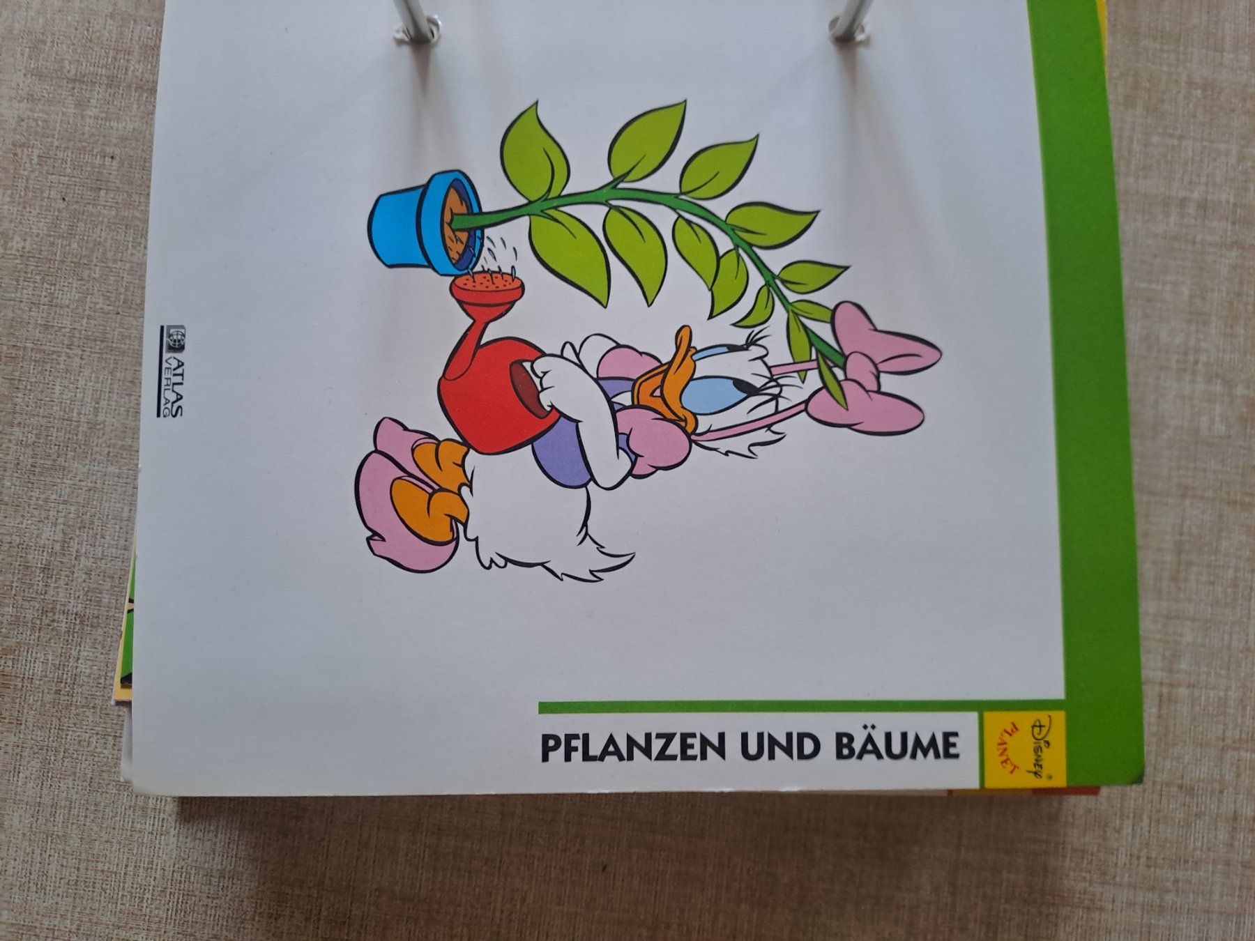 Fumetti: Mickey Mouse ordner,Sammelkarten – Nuovo (secondo la descrizione) da Bitsch venduto da jajo79076 1