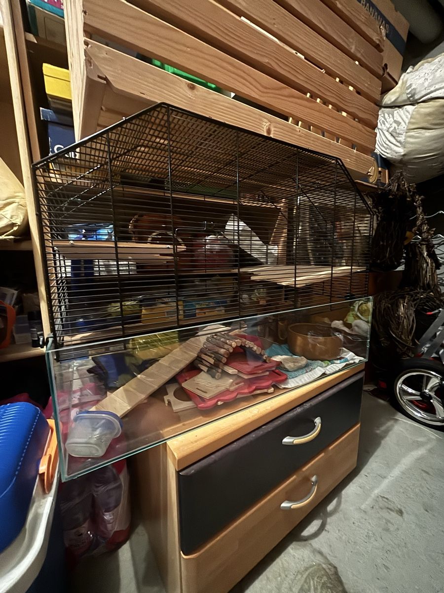 Gabbie, trasporto & Sicurezza: Top, Kleintiergehege/Hamsterkäfig – Usato da Münchenstein venduto da joy_9l2y