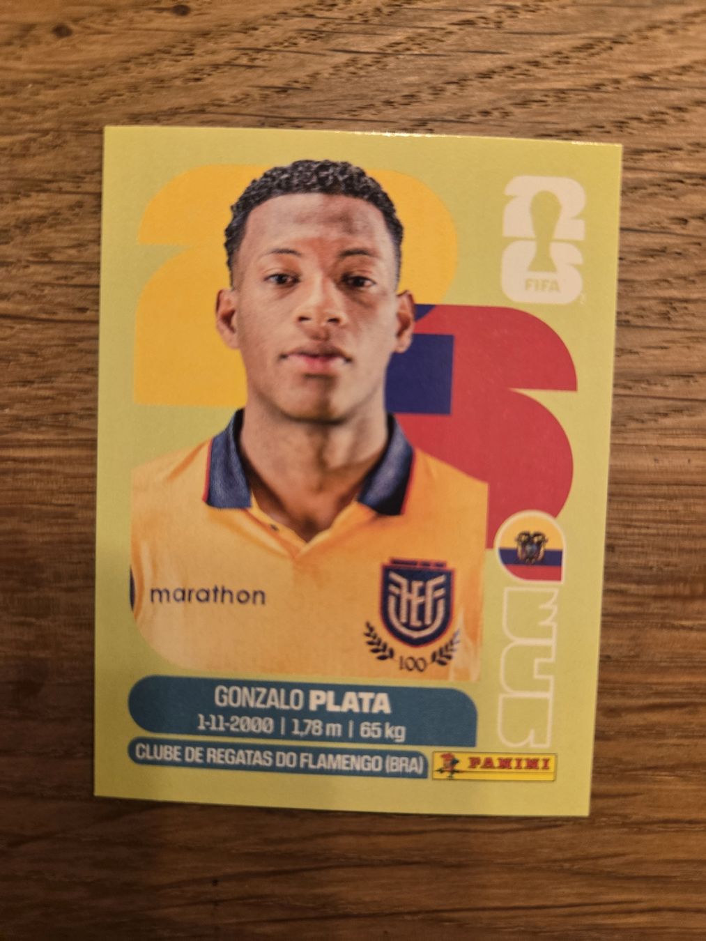 Panini Carte collezionabili: Panini Sticker 2026 ECU 16 – Nuovo (secondo la descrizione) da Luzern venduto da .Skylake.