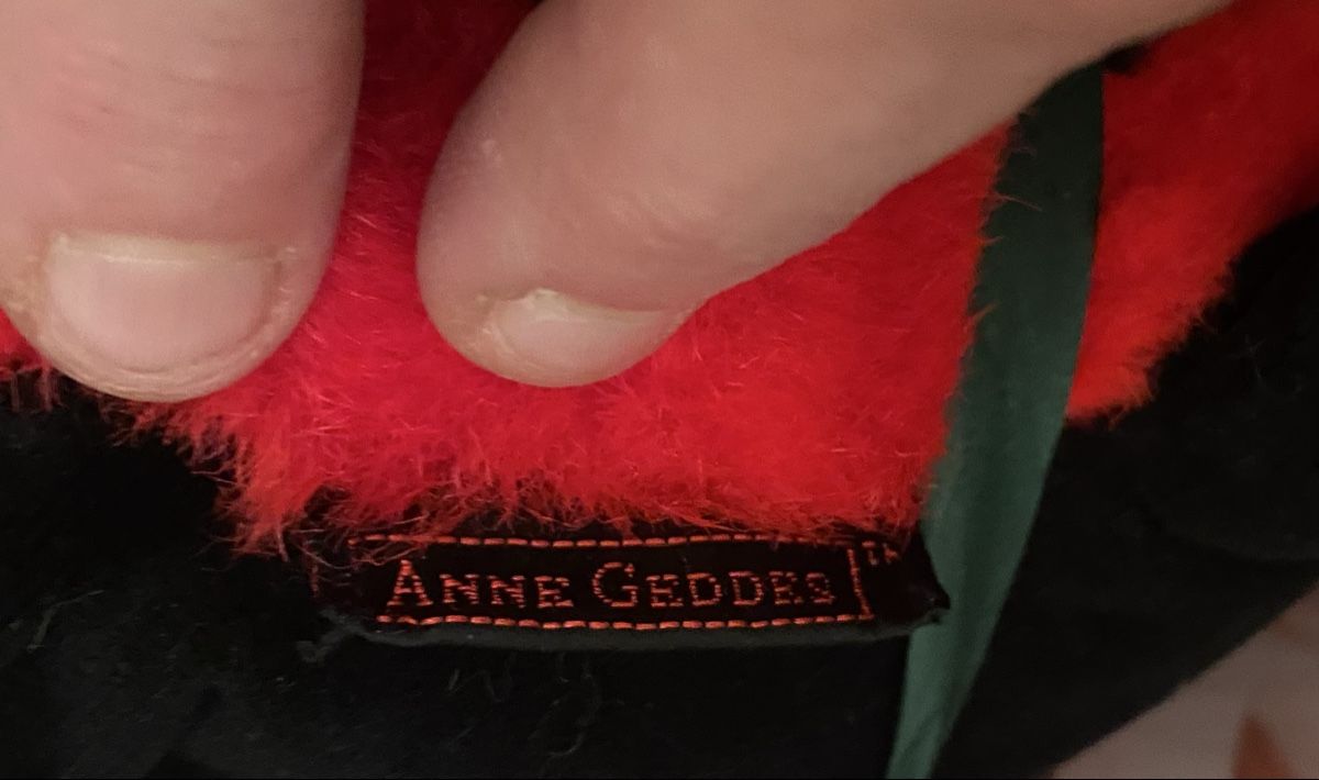 Libri: Anne Geddes Set – Nuovo e nell'imballaggio originale da Langenthal venduto da flower101 4