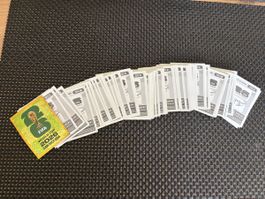 Panini WM Stickers
