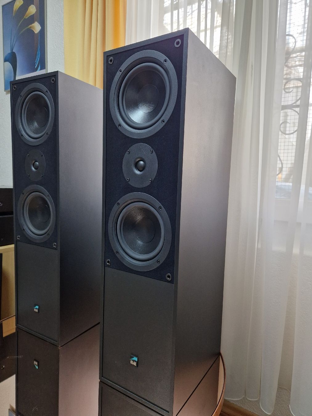 Elac Casse acustiche: Elac ELT 10 – Usato da Arbon venduto da Mayak_Sound 1