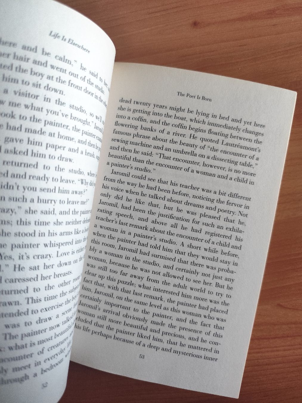 Libri: Life Is Elsewhere Milan Kundera  – Usato da Mägenwil venduto da VintageGirly 5