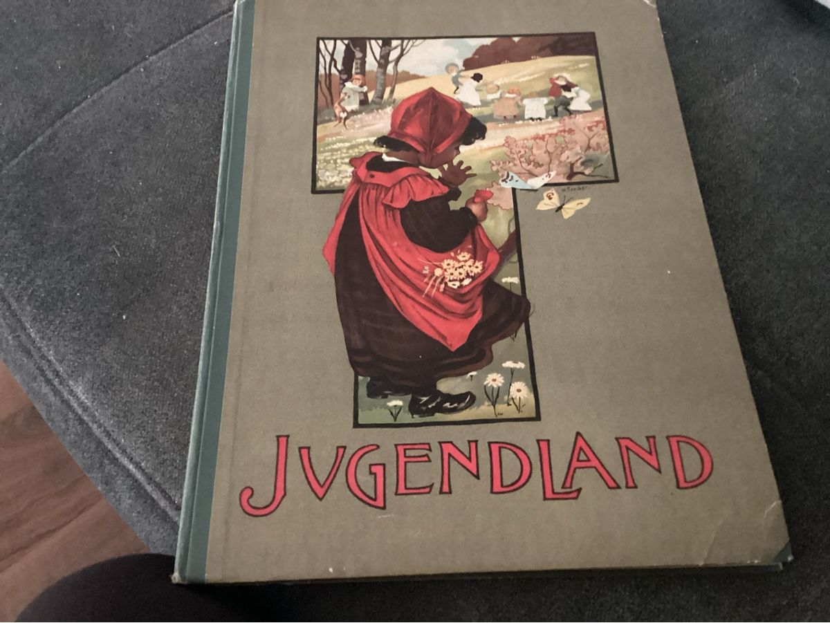 Libri: ANTIKES KINDERBUCH UM 1910 – Usato da Münchenstein venduto da NoSu98