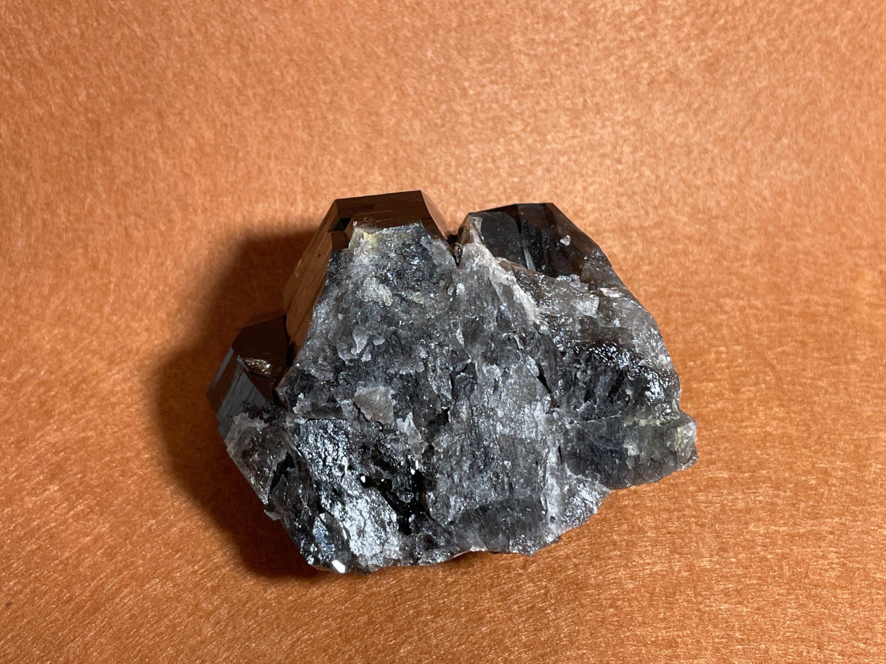 Minerali & Pietre curative: Quartz morion – Nuovo (secondo la descrizione) da Cernier venduto da Tashi_Delek 4