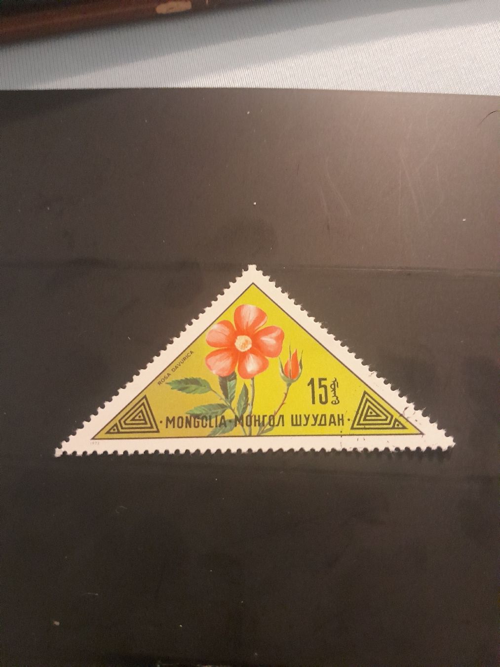 Tous les timbres: Timbre rare de Mongolie, fleur rose - collectionneur! – D'occasion à Marly par globetrotter1723