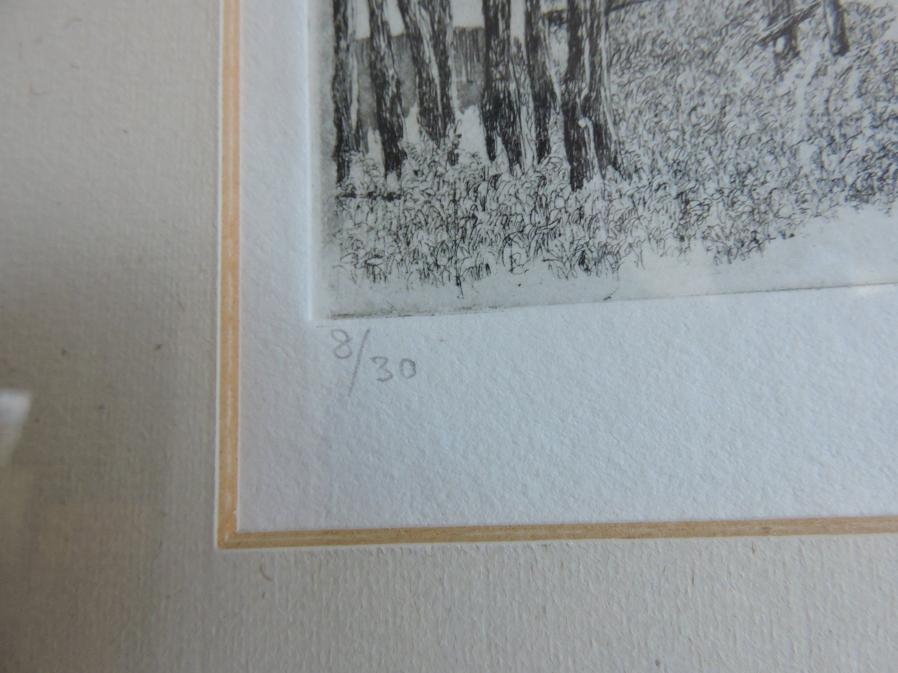 Grafica & Litografie: Walter Dick Lithographie Auflage 8/30 – Usato da Hauptwil venduto da Borusse01 3
