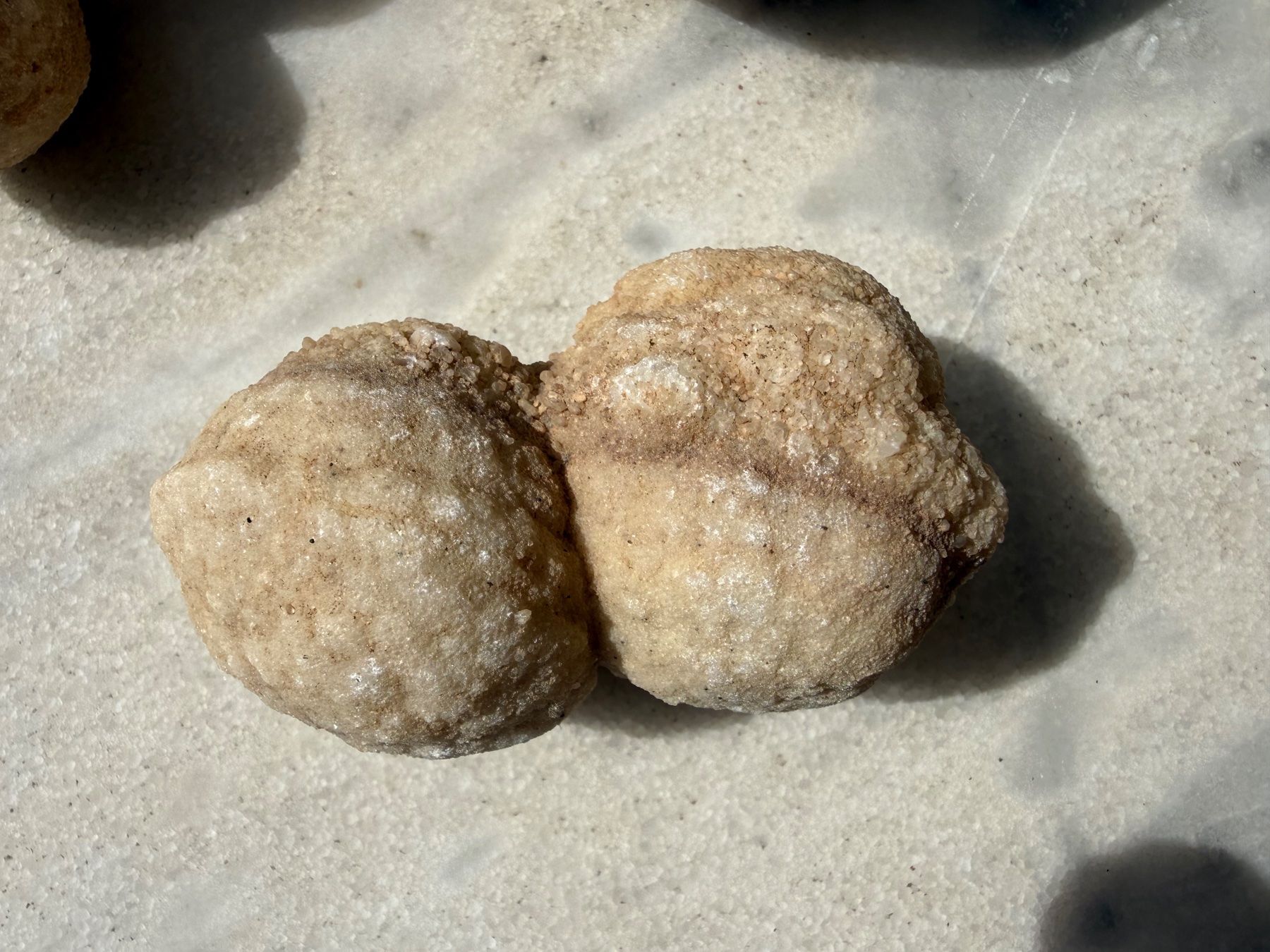 Mineralien & Heilsteine: Fossil Cluster Konkretionen (?) – Gebraucht aus Rorbas von tun_m7fz 7