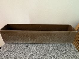 3 Blumenkasten,79cm lang,17 cm hoch
