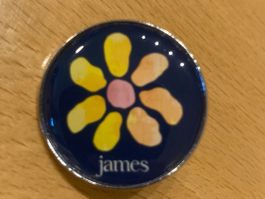 James - Pin Anstecker Punk Metal Rock Band