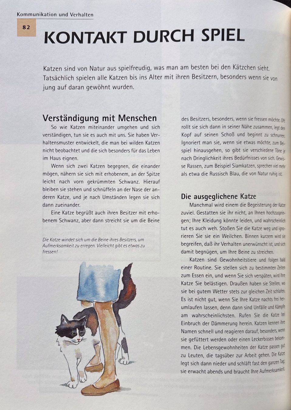 Libri: Alderton David, Die Katze der kleine Tiger – Nuovo (secondo la descrizione) da Sarnen venduto da Livres 6