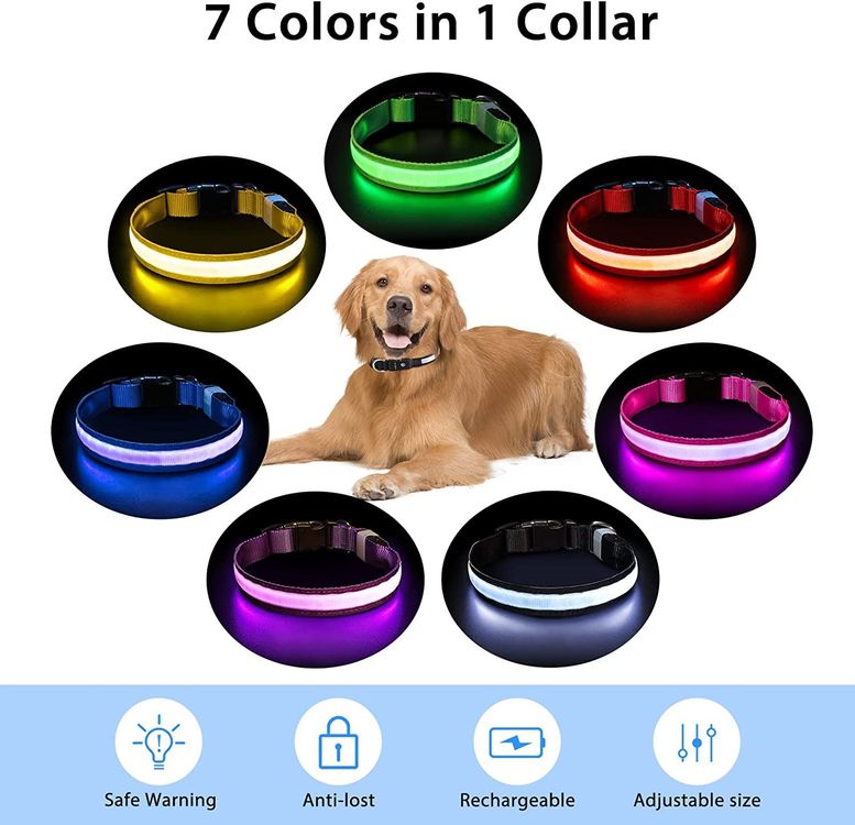 LED Leuchthalsband Hunde Halsband
