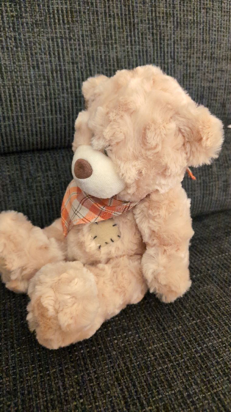 Giocattoli: Teddybär von Kuschelwuschel 19 cm – Nuovo (secondo la descrizione) da Rüfenach AG venduto da sen_vbz6 9