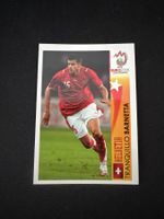 Panini UEFA EM 2008 Sticker - Nr. 491