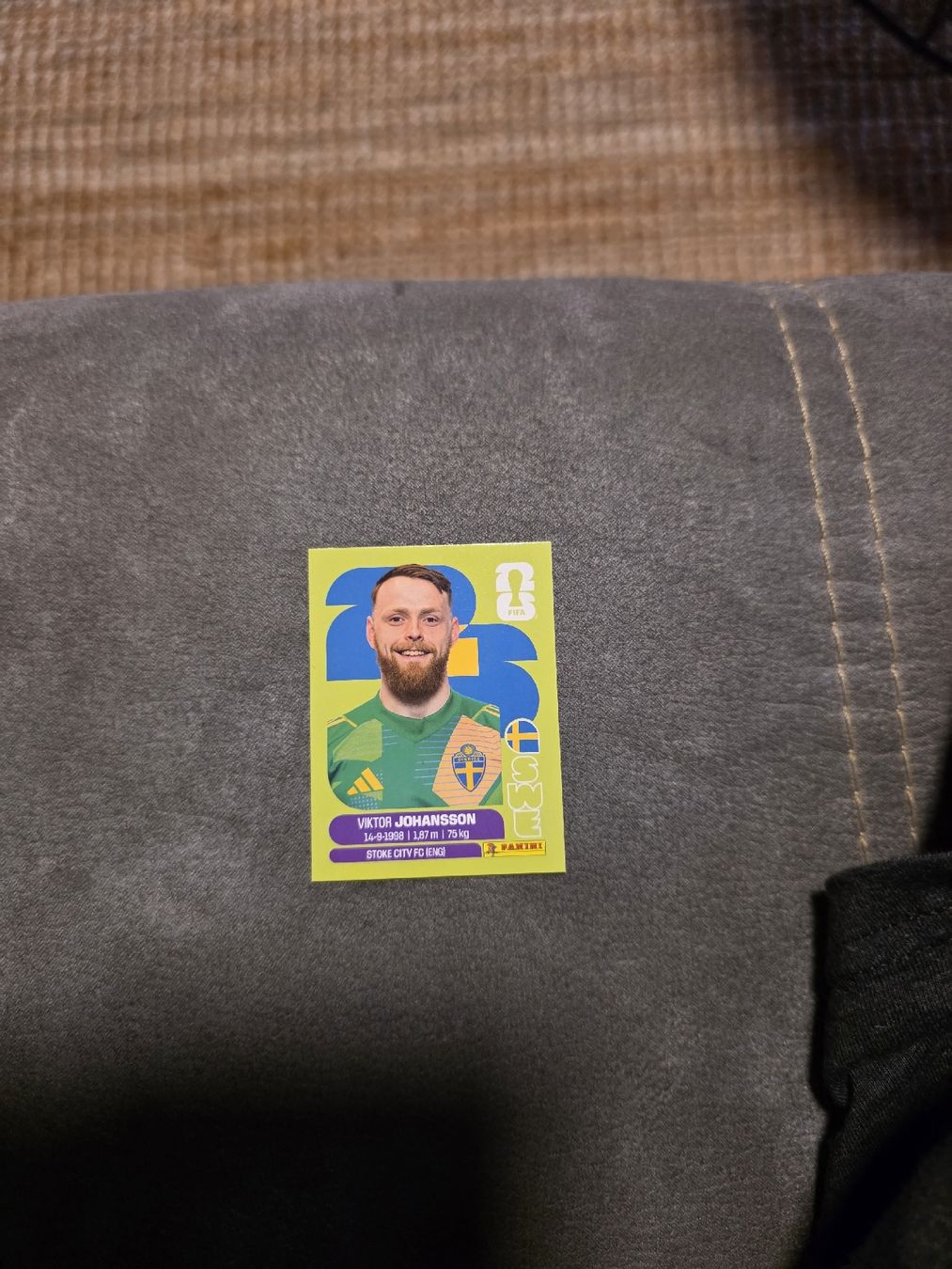 Panini Carte collezionabili: Panini WM 2026 SWE 2 Johansson – Nuovo (secondo la descrizione) da Romanshorn venduto da leeh78
