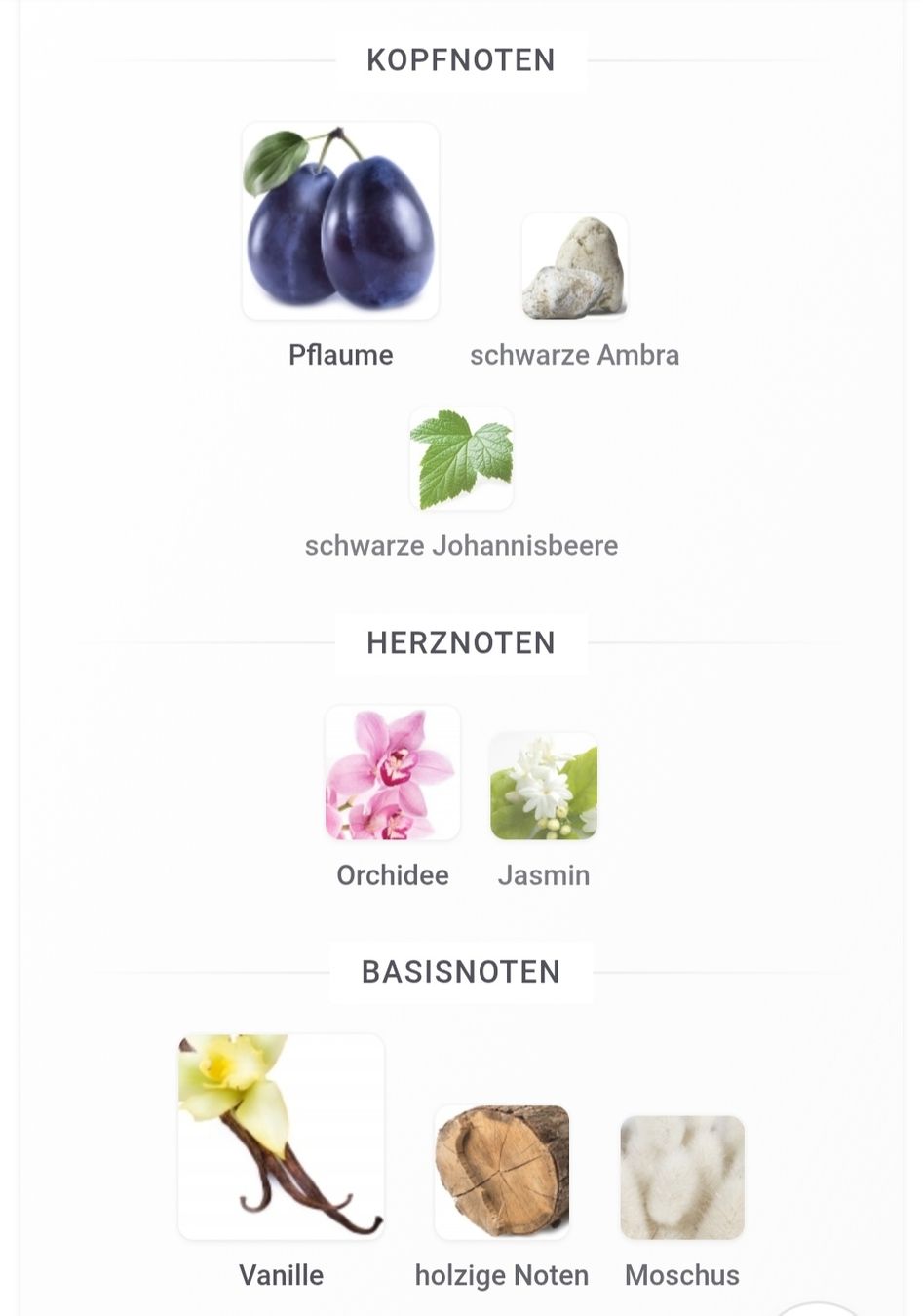 Sol de Janeiro Parfum & Eau de Toilette: SOL DE JANEIRO Cheirosa 40 Set – Gebraucht aus Winterthur von Je. 3