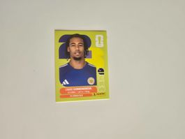 Panini WM 26 - CUW 9