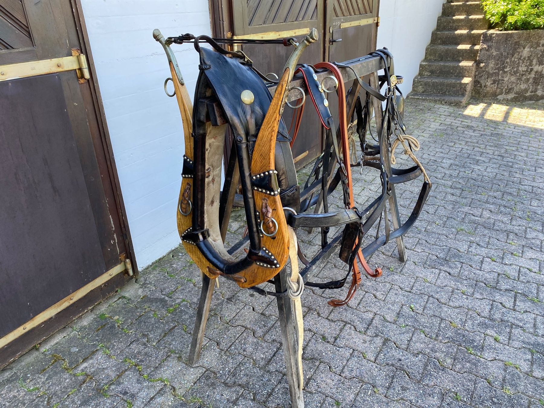 Carrozze: schönes Bündnergeschirr – Usato da Feldbach venduto da Fea1 1