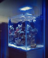 Auflösung Aqaurium
