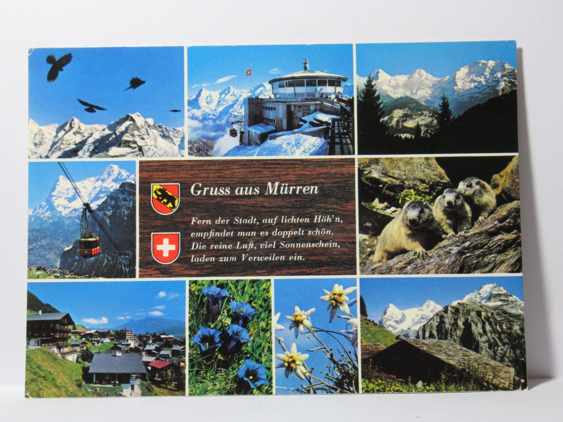 Cartes postales: Mürren – Neuf (Voir description) à Grenchen par Bluemchen1900