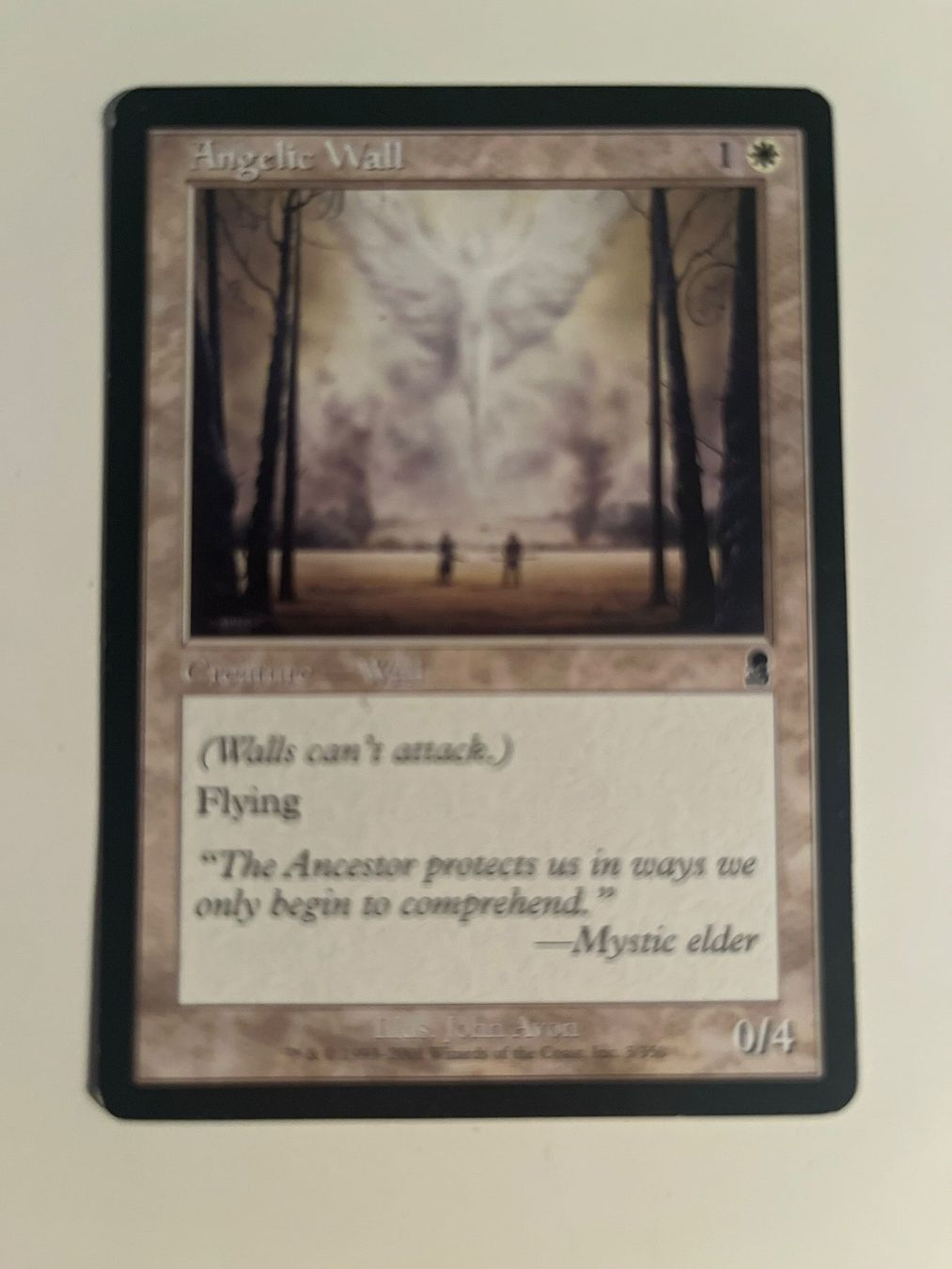 Magic The Gathering Carte collezionabili: 1 x Angelic Wall - Magic: The Gathering - MtG – Usato da Kriens venduto da Shadi1980