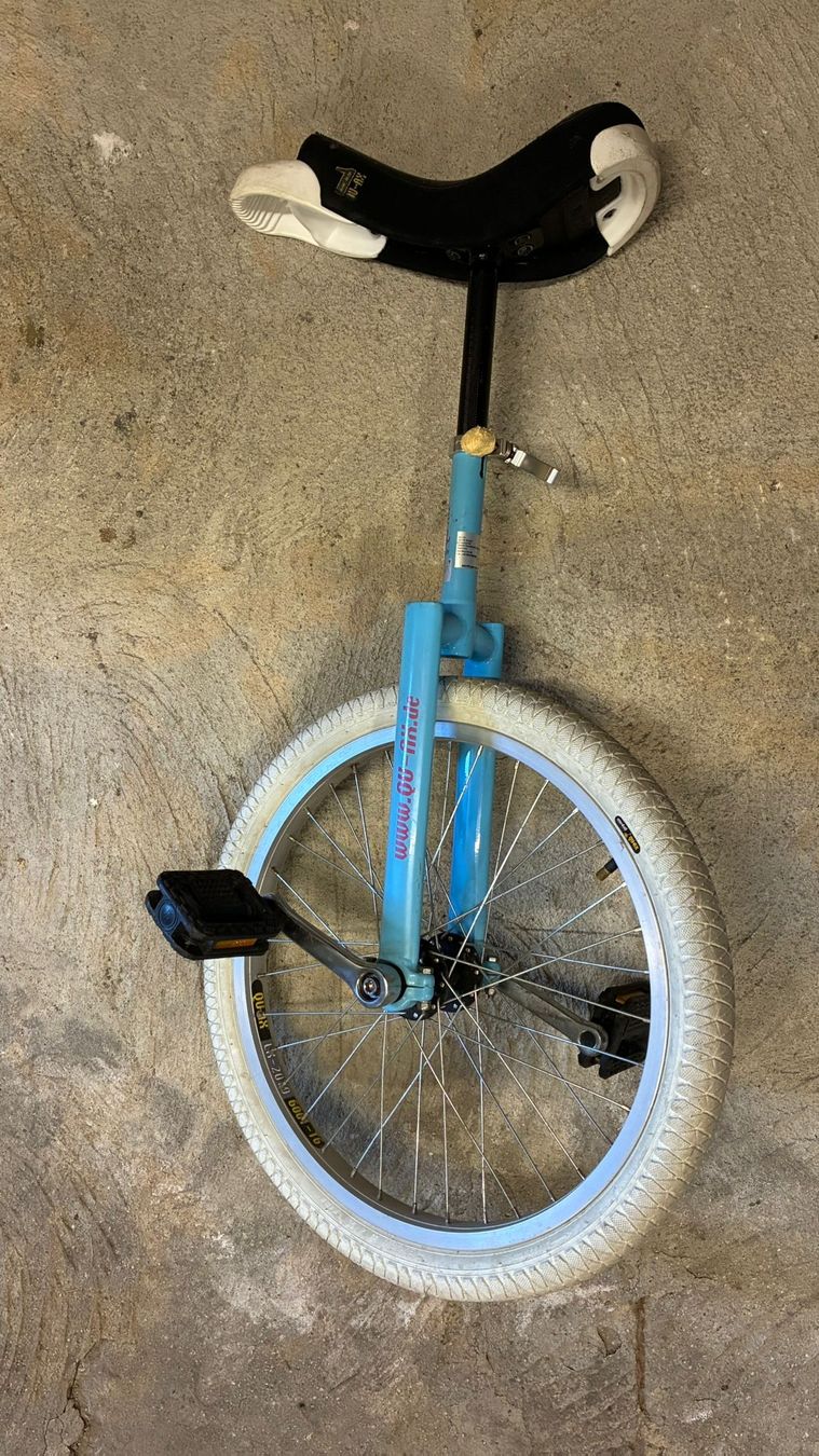 Biciclette: Monocycle d'occasion – Usato da Basse-Nendaz venduto da vou_dh7f 1