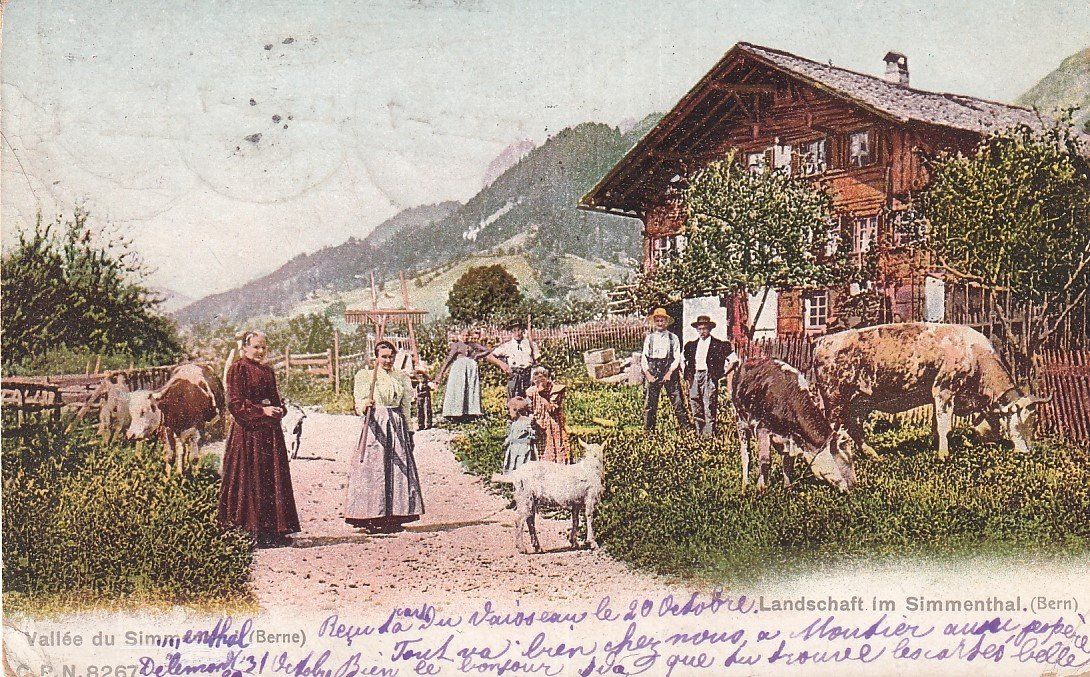 Cartoline postali: Simmental   BE  -    Landwirtschaft      um  1906 – Usato da Brig venduto da Valcards54