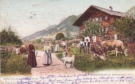 Simmental   BE  -  Landwirtschaft / Kühe & Ziege  um  1906