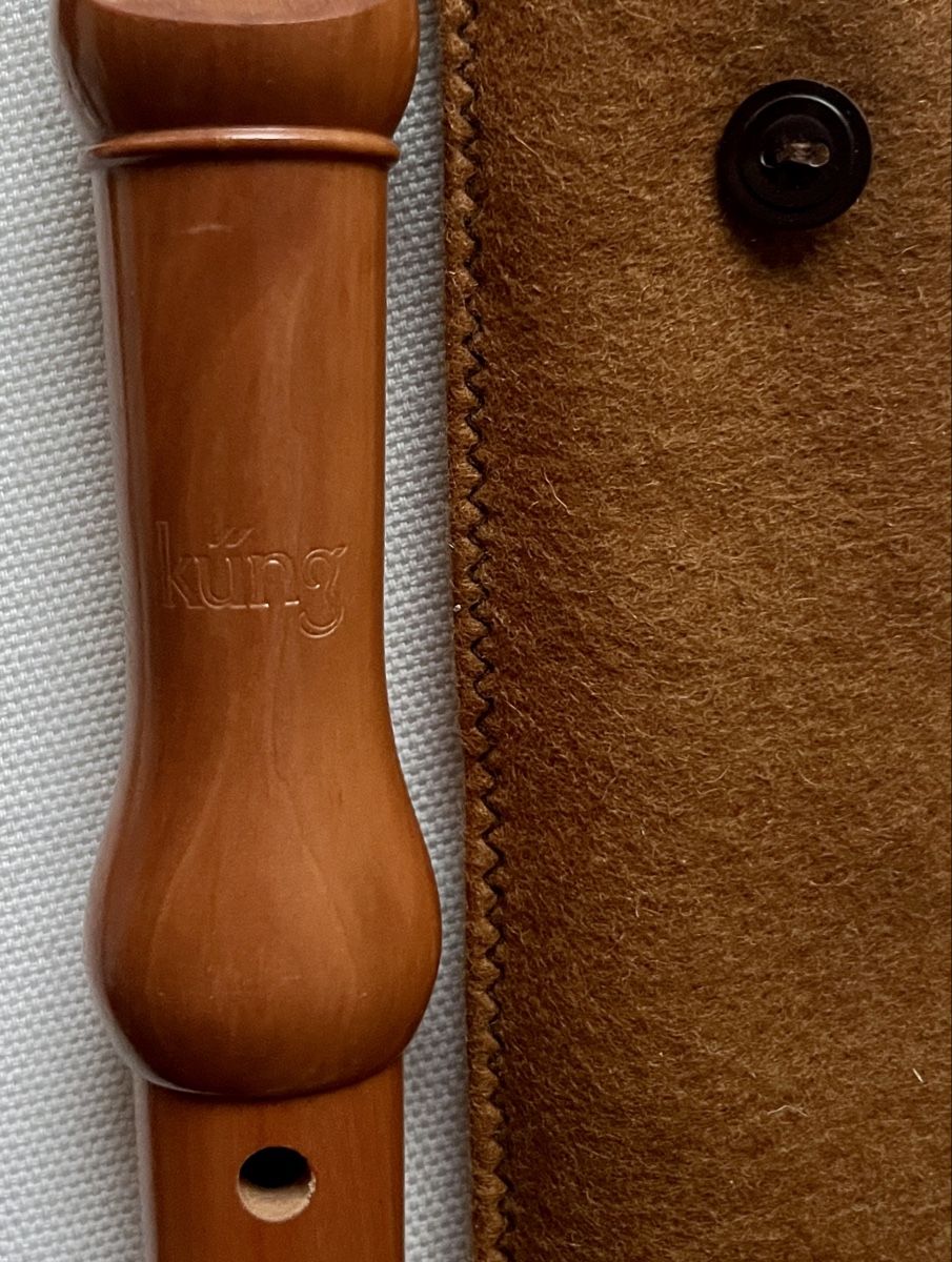 Strumenti musicali: Küng Blockflöte mit Etui – Usato da St. Gallen venduto da reg_f8h8 1