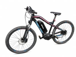 E-Bike (defekt)