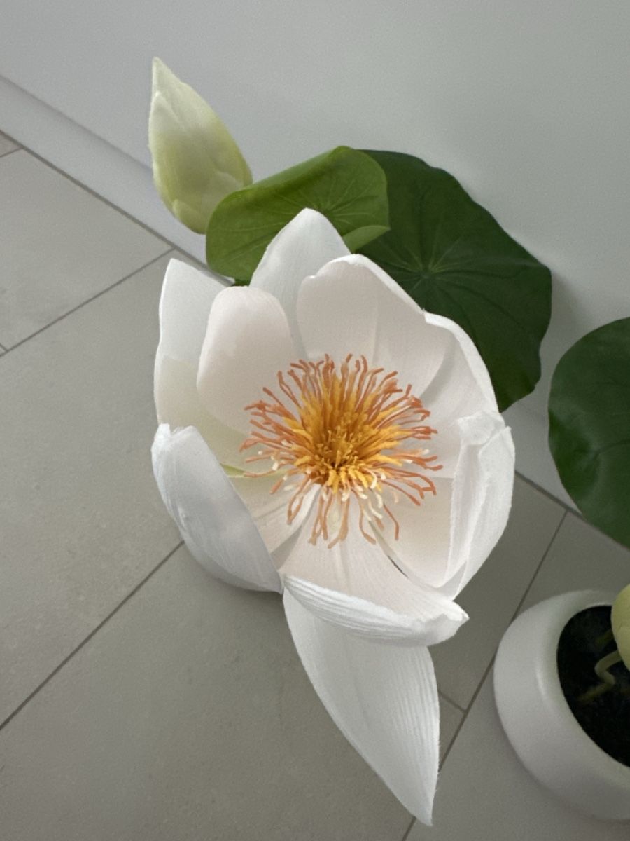 Piante & sementi: 2x Kunstblumen grün / weiss – Usato da Zug venduto da Hehe 4