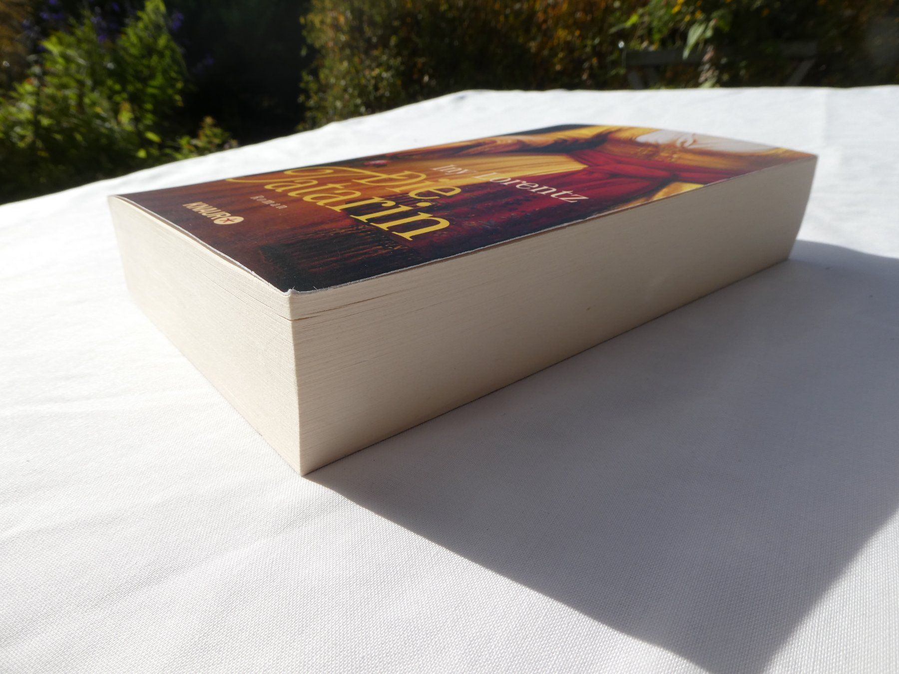 Libri: Die Tatarin, von Iny Lorentz – Usato da Gattikon venduto da kaandooh 2