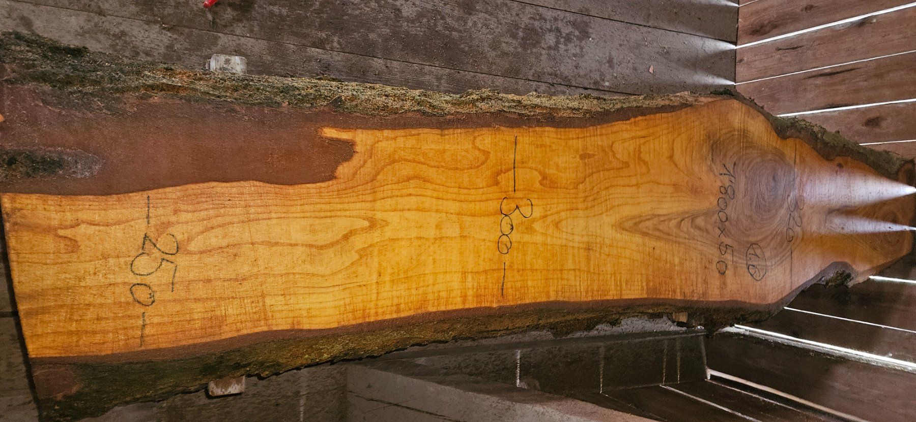 Articoli in legno: Kirschbaumbretter – Nuovo (secondo la descrizione) da Vielbringen Worb venduto da lua_cm7v 6