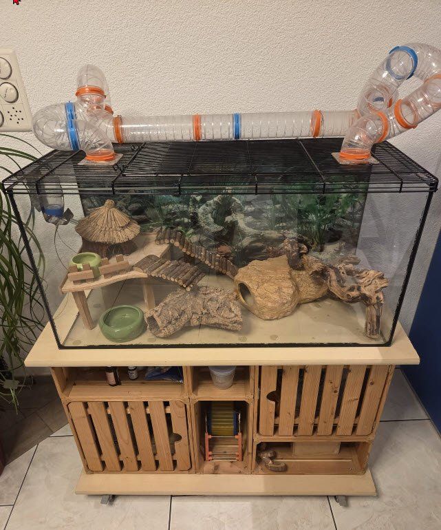 Terrarium: Hamsterkäfig mit Untermöbel – Gebraucht aus Stetten AG von Novell1 1