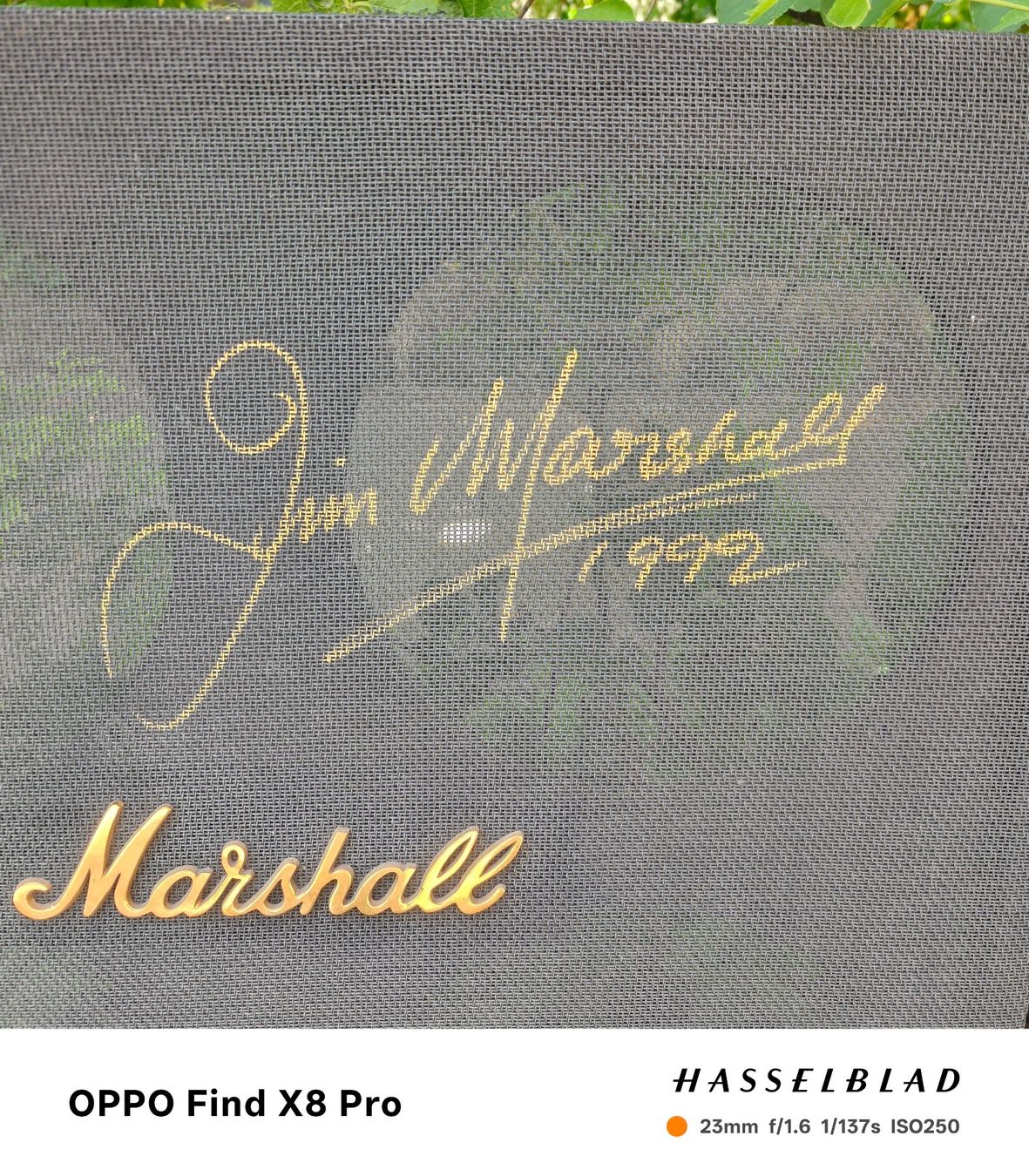 Amplificatori: Marshall 30th Anniversary Straight Cab Front – Usato da Seuzach venduto da Markleeroy 1