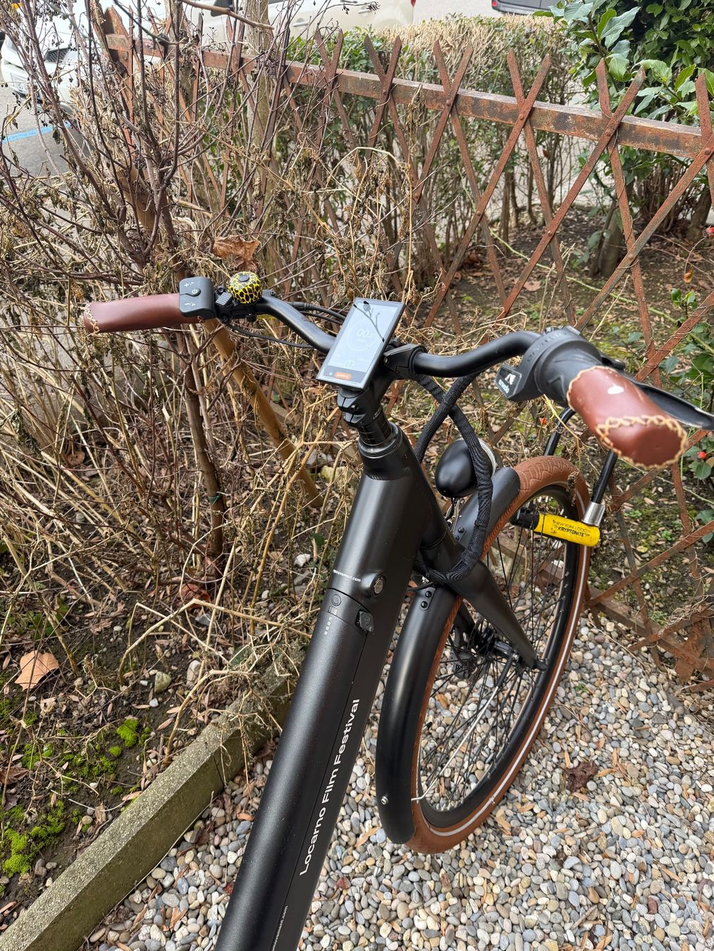 Ego Movement Biciclette: Top Ego Movement Julia E-Bike – Usato da Zürich venduto da mgraziano90 2