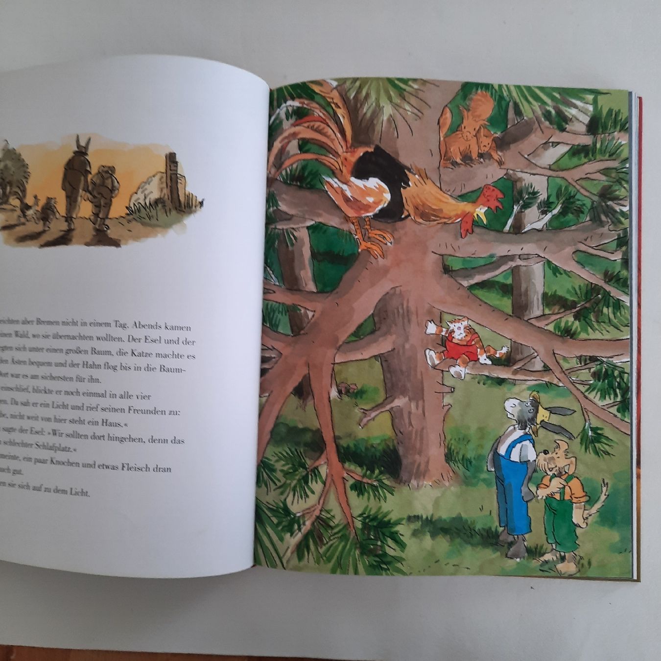 Bücher: Das grosse Märchenbilderbuch der Brüder Grimm, Neuwertig – Neu (gemäss Beschreibung) aus olten von Laterne50 3
